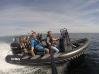 Speedbådskørekort københavn